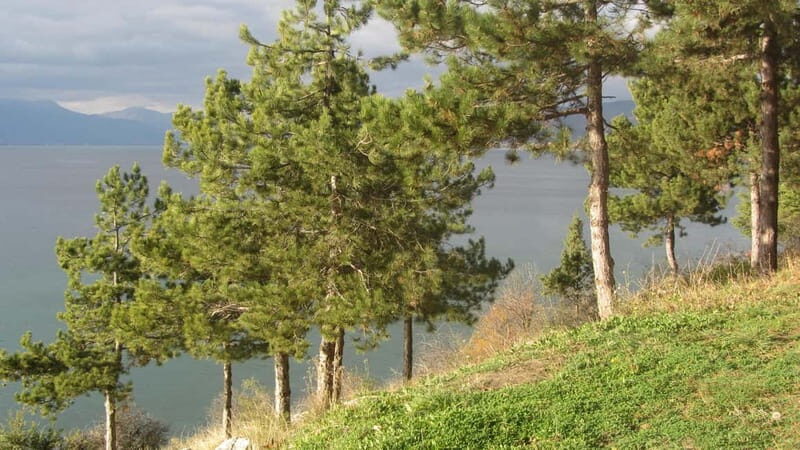 Ohrid: Old Town Bike Rental - Why Rent a Bike in Ohrid?