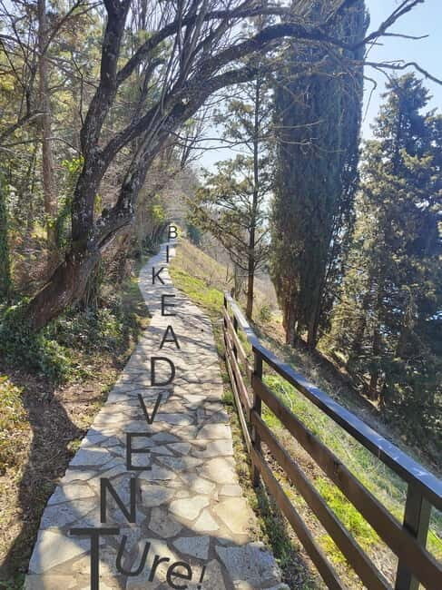 Ohrid: Old Town Bike Rental - The Sum Up