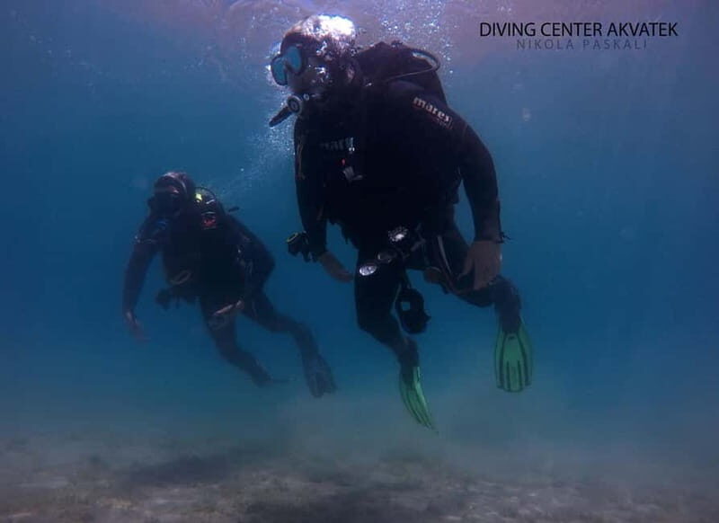 Ohrid: Scuba Diving Experience in Lake Ohrid - The Highlights: Diving into the Details