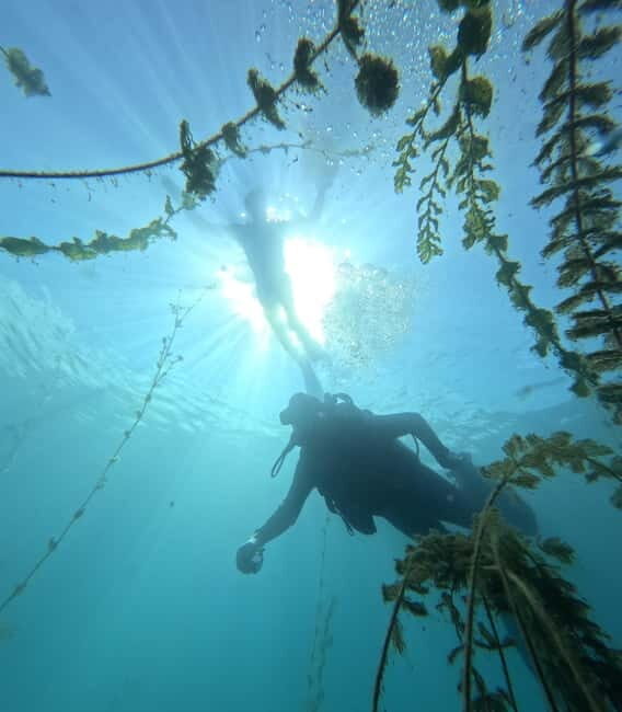 Ohrid: Scuba Diving Experience in Lake Ohrid - Who Will Love This Experience?