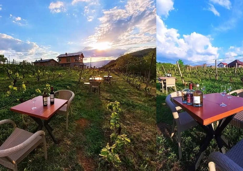 Ohrid - Wine Tasting Experience at S&S Winery - FAQ: Your Questions Answered