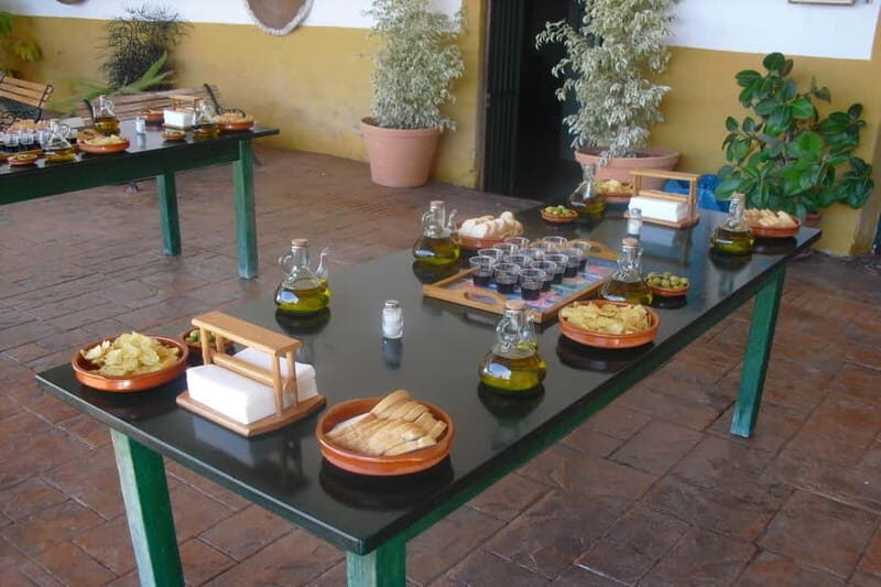 Oil Mill and Agro-Food Market from Costa del Sol - Key Points