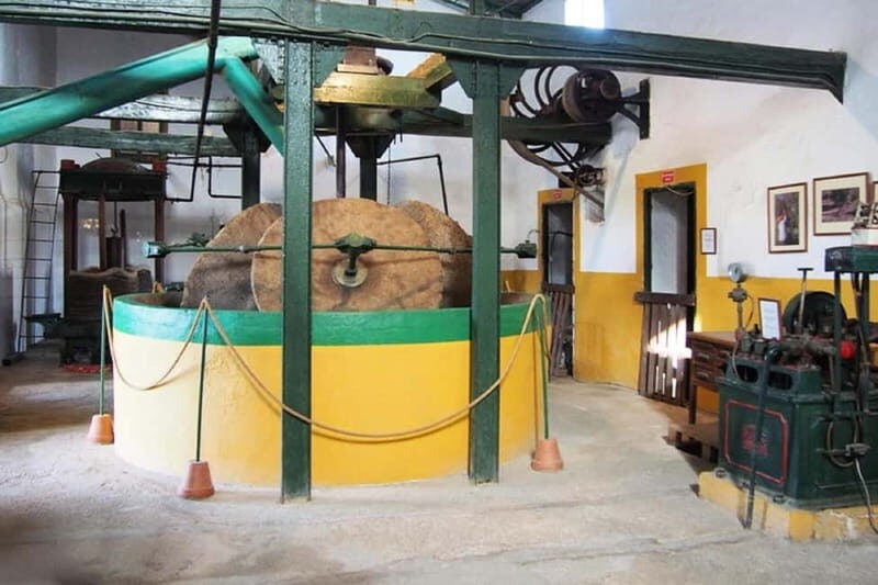 Oil Mill and Agro-Food Market from Costa del Sol - Authentic Experiences and Real Traveler Insights