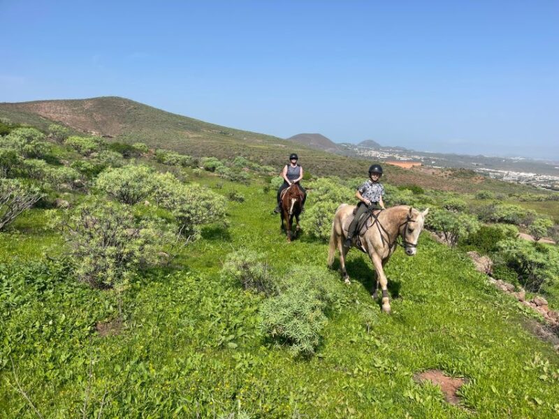 Ojos De Garza: 2-Hour Las Palmas Mountains Horse Riding Tour - Booking Information
