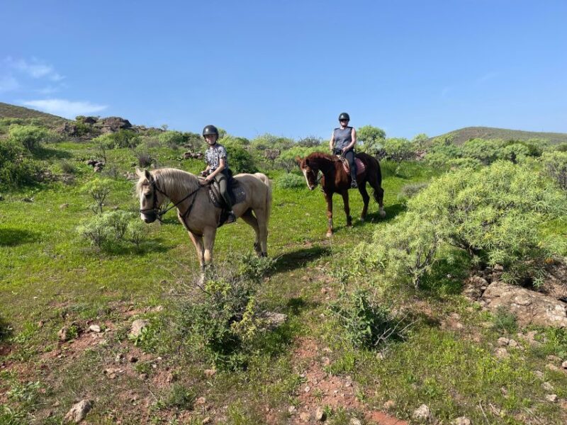 Ojos De Garza: 2-Hour Las Palmas Mountains Horse Riding Tour - Itinerary