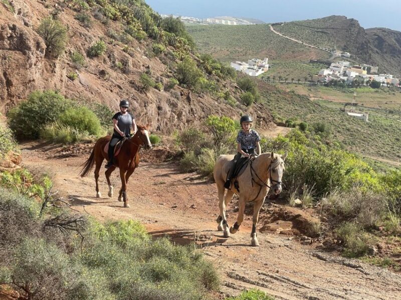 Ojos De Garza: 2-Hour Las Palmas Mountains Horse Riding Tour - Participant Restrictions and Recommendations