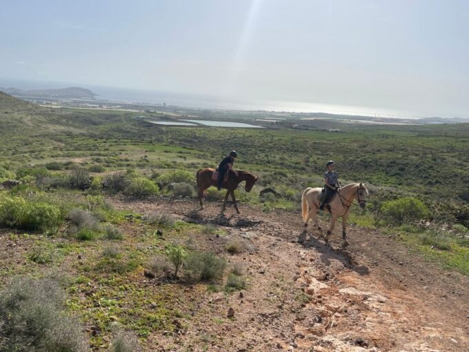Ojos De Garza: 2-Hour Las Palmas Mountains Horse Riding Tour - Customer Reviews