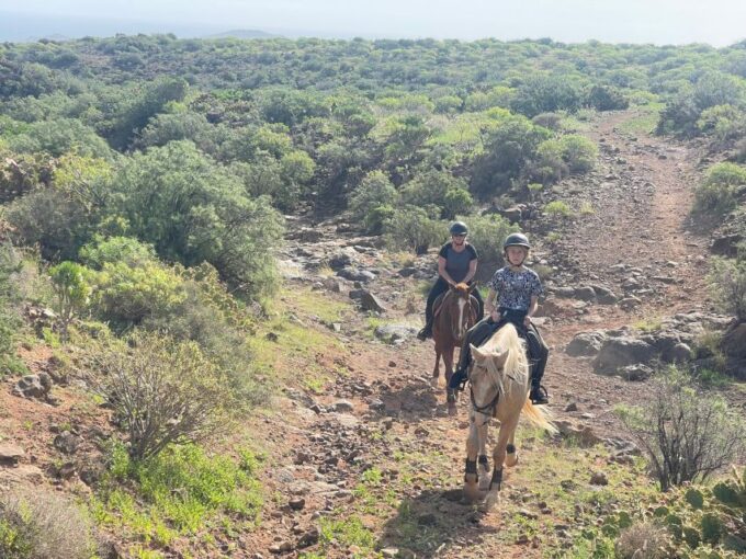 Ojos De Garza: 2-Hour Las Palmas Mountains Horse Riding Tour - Why Choose This Tour