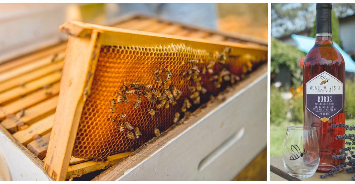 Okanagan Bee Tour, Wine Tasting and Lunch at Kelowna Winery - Farm-to-Table Lunch