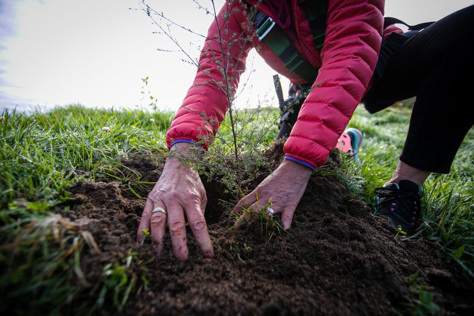 Okere Falls: Zipline Over Waterfalls Experience - Experience Inclusions