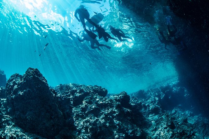 [Okinawa Blue Cave] Snorkeling and Easy Boat Holding! Private System Very Satisfied With the Beautiful Facilities of the Shop (With Photo and Video Shooting Service) - Beautiful Facilities and Photo/Video Service