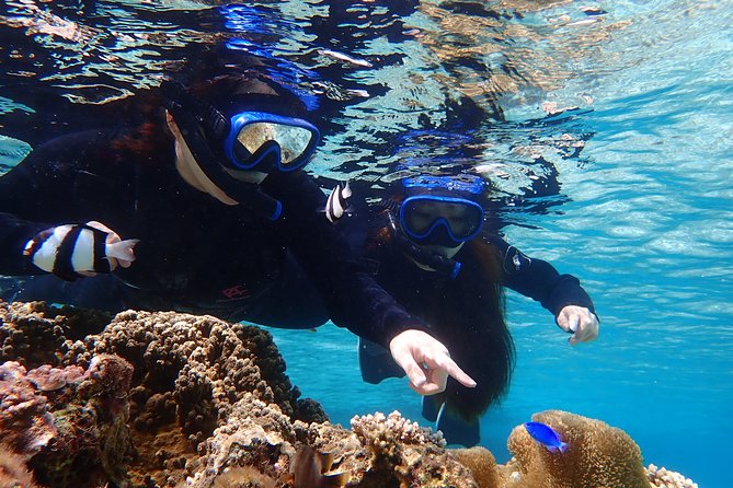 Okinawa Miyako 3-set! Beach SUP, Tropical Snorkeling, Pumpkin Limestone Cave, Canoe - Pumpkin Limestone Cave
