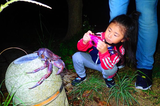 Okinawa Miyako: Natural Planetarium! Starry Sky & Subtropical Jungle Night Tour - Accessibility and Restrictions