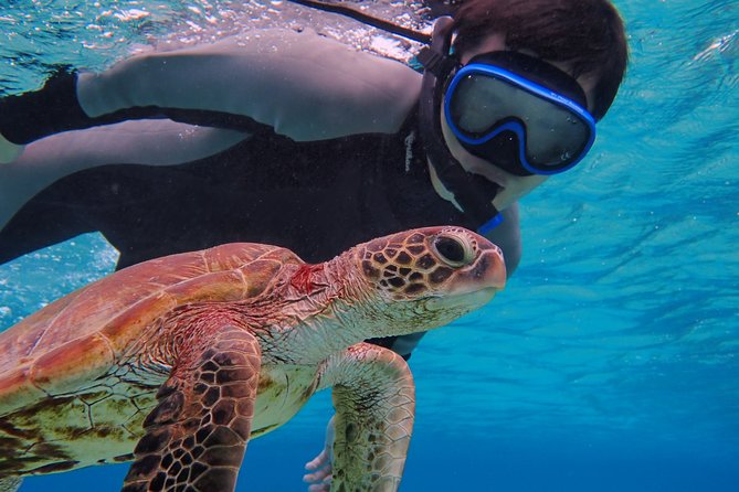 [Okinawa Miyako] SUP / Canoe + Sea Turtle Snorkeling !! (Half-Day Course) - Meeting and Pickup Details