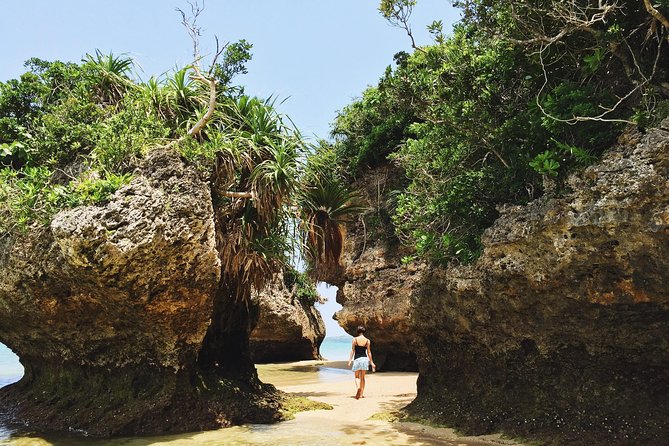 Okinawa Private Customizable 6-Hour Tour By Private Vehicle - Transportation and Accessibility