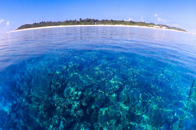 Okinawa: Scuba Diving Tour With Wagyu Lunch and English Guide - Physical Fitness Requirement