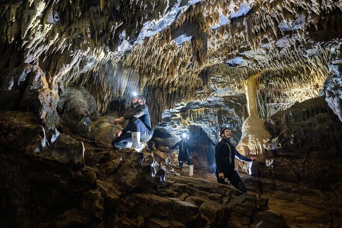 Okohua Glowworm Cave Adventure - What Sets the Okohua Glowworm Cave Tour Apart?