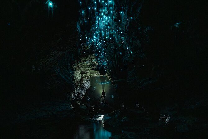Okohua Glowworm Cave Adventure - The Authentic Glowworm Experience