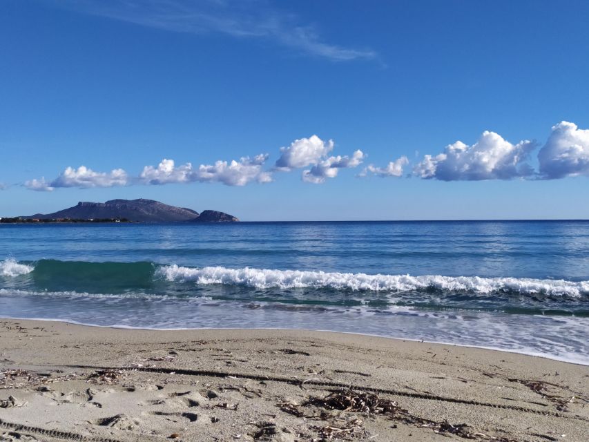 Olbia: City Tour With a Visit to the Beach - Key Points
