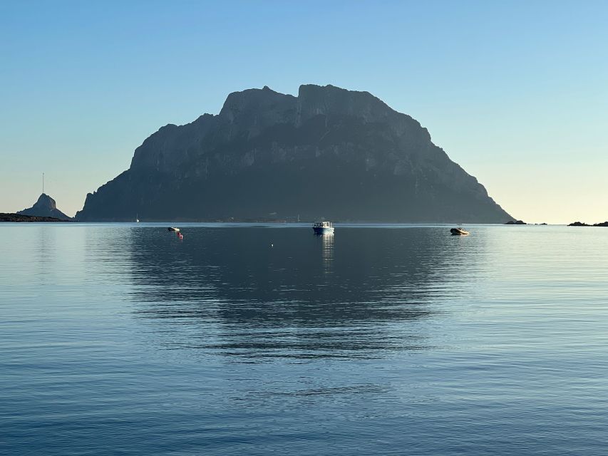 Olbia: Diving in Tavolara Marine Park in Sardinia - Key Points