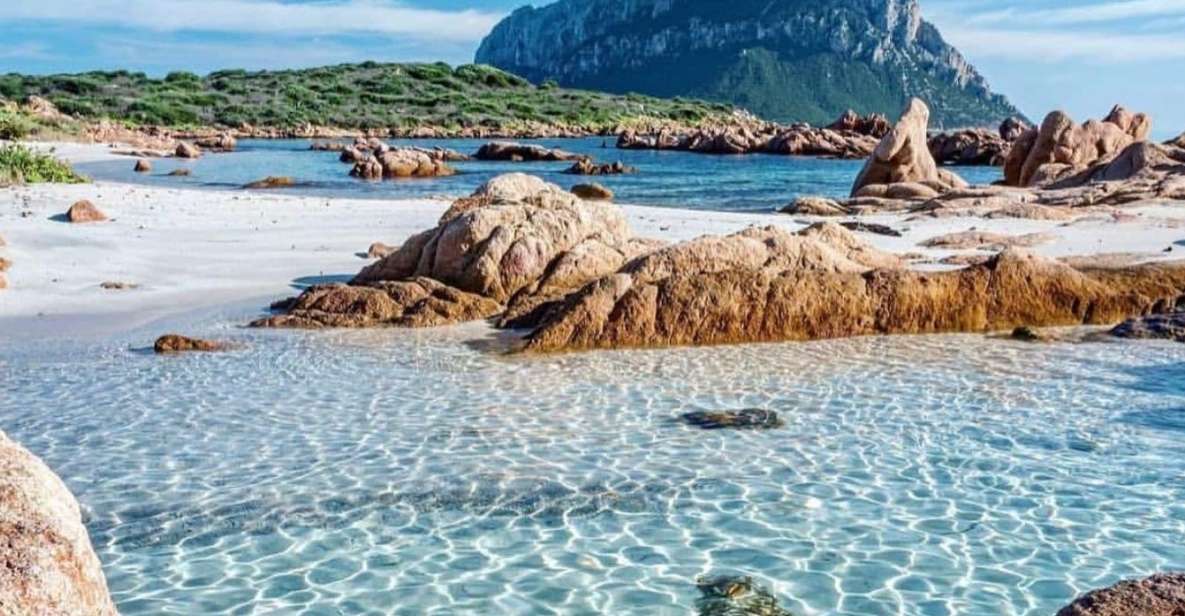 Olbia: Diving in Tavolara Marine Park in Sardinia - Included Diving Equipment and Gear