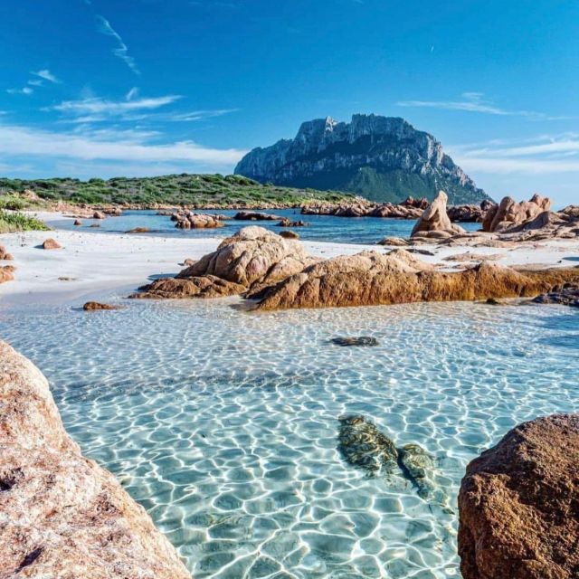 Olbia: Diving in Tavolara Marine Park in Sardinia - Restrictions and Requirements