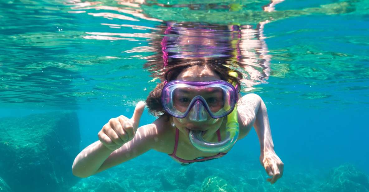 Olbia: Dolphin Watching and Snorkeling Boat Tour - Experience Highlights