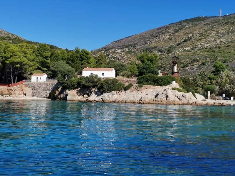Olbia: Dolphin watching and snorkeling tour on Figarolo Island - Key Points