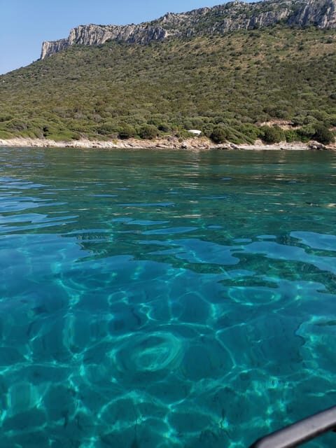 Olbia: Dolphin watching and snorkeling tour on Figarolo Island - The Practicalities