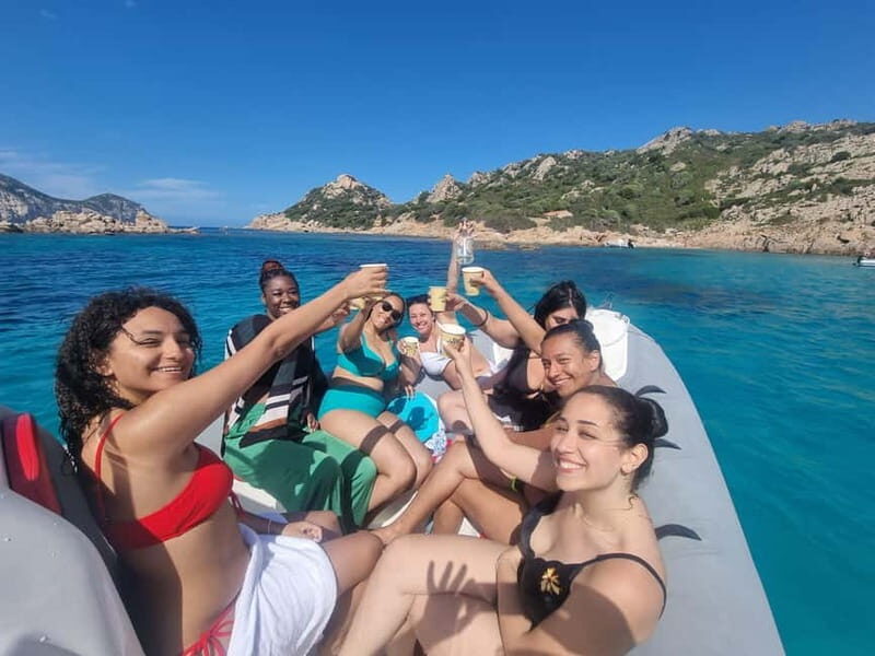 Olbia: Dolphin Watching & Swim with prosecco aperitif - Who Will Love This Tour?