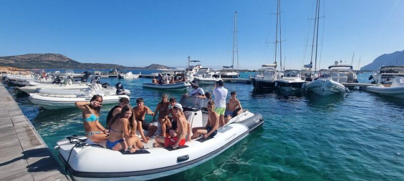 Olbia: Dolphin Watching & Swim with prosecco aperitif - FAQs