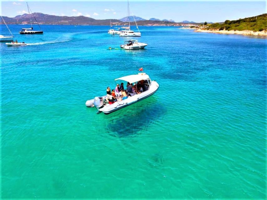 Olbia: Dolphin Watching Tour With Figarolo Island Snorkeling - Safety and Equipment
