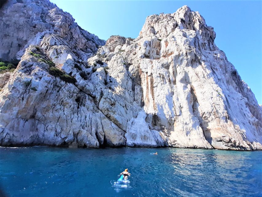 Olbia: Dolphin Watching Tour With Figarolo Island Snorkeling - Tips for Participants