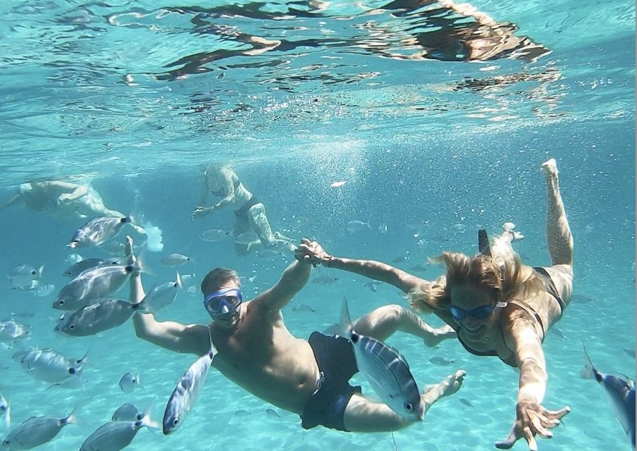 OLBIA: Full Day Private Sailboat Cruise to Tavolara Island - Important Information and Requirements