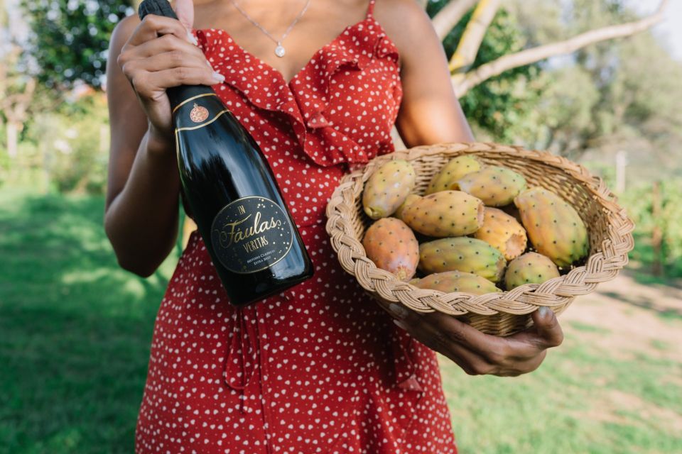 Olbia: Gallura Winery Guided Tour With Tasting - Key Points