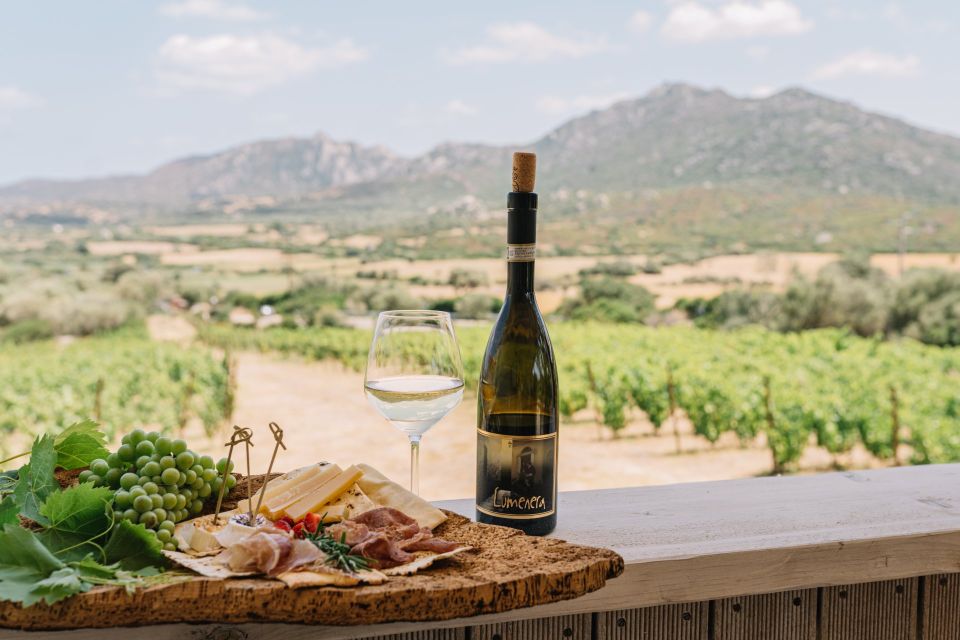 Olbia: Gallura Winery Guided Tour With Tasting - Experience Highlights