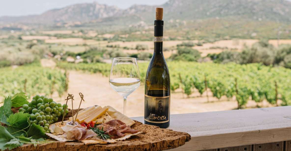 Olbia: Gallura Winery Guided Tour With Tasting - Included Features