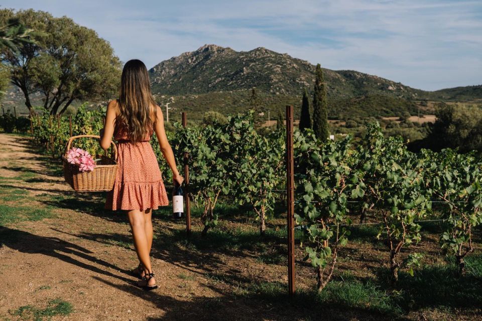 Olbia: Gallura Winery Guided Tour With Tasting - Important Information