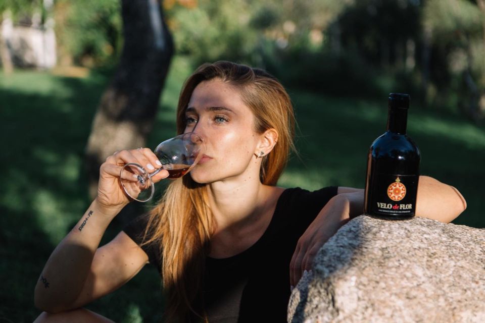 Olbia: Gallura Winery Guided Tour With Tasting - Tips for Visitors