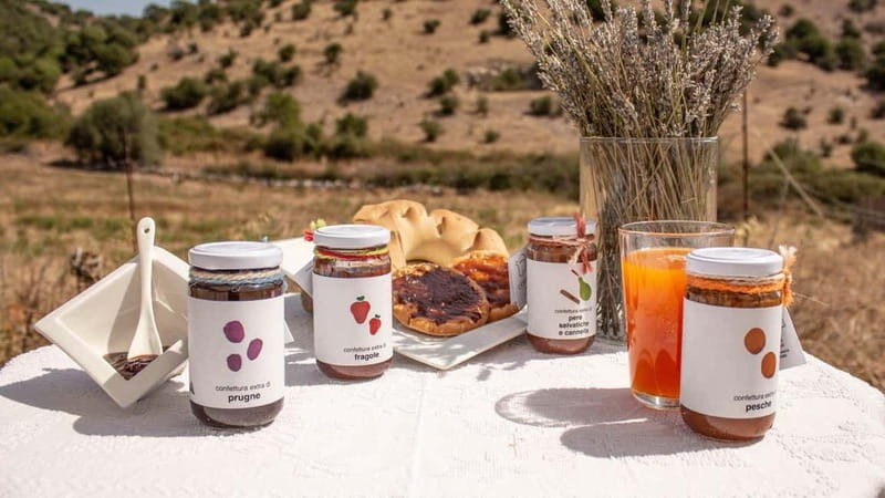 Olbia: jam tasting in Tula - Key Points