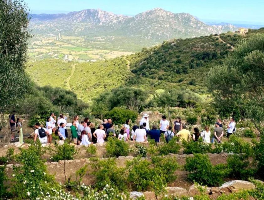Olbia: Visit a Myrtle-Making Factory With Tasting - Booking and Cancellation Policy