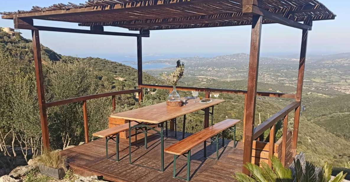 Olbia: Visit an Original Myrtle Gin Workshop With Tasting - Workshop Highlights