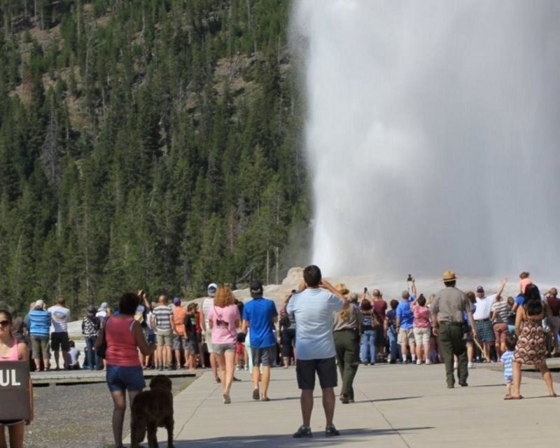 Old Faithful Lower Loop Tours - Discovering Yellowstones Wonders