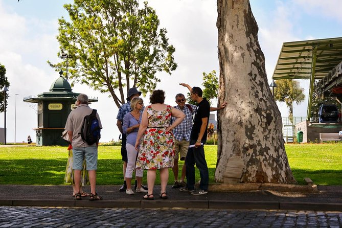 Old Funchal Walking Tour - Meeting and Pickup