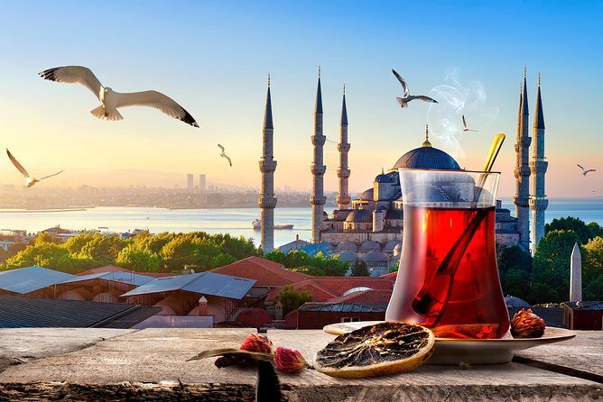 Old Istanbul Private Tour for Kids and Families - Price and Value Analysis
