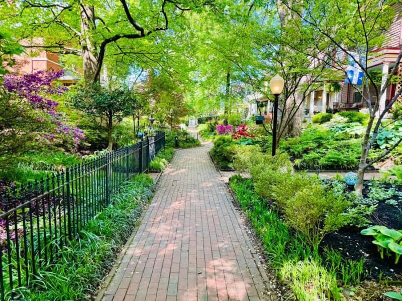 Old Louisville: History and Architecture Walking Tour - An In-Depth Look at the Old Louisville Walking Tour