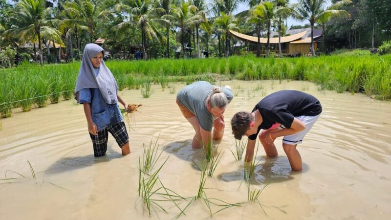 Old Phuket Farm Ticket - Countryside Local Life Culture - Itinerary and Highlights