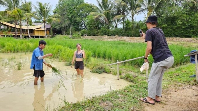 Old Phuket Farm Ticket - Countryside Local Life Culture - Discovering Traditional Thai Agriculture