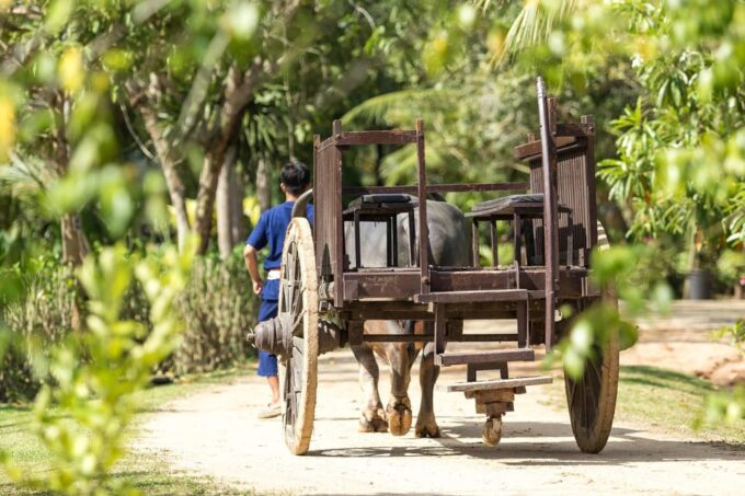 Old Phuket Farm Ticket - Countryside Local Life Culture - Hands-on Activities at the Farm