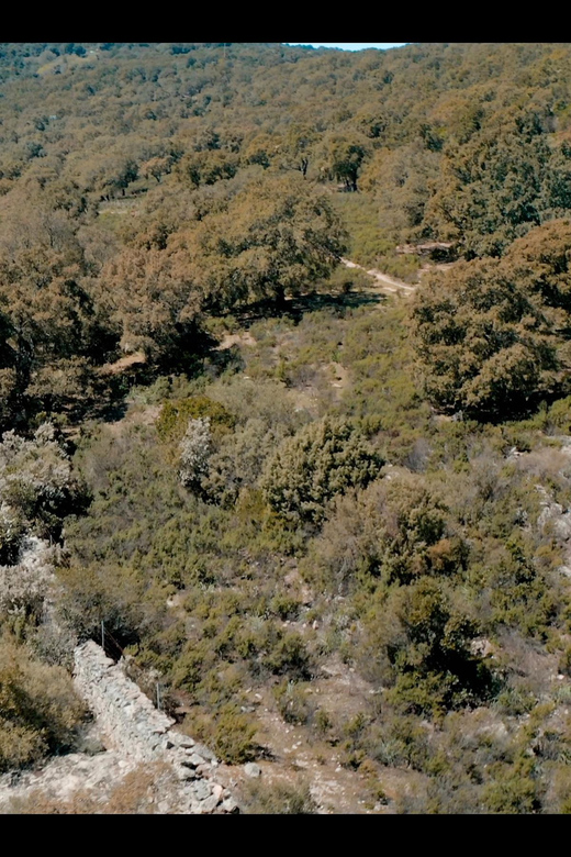Old Railway: Premium E-Bike Tour Through an Enchanted Forest - Inclusions and Amenities